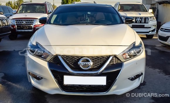 Buy Import Nissan Maxima White Car in Import - Dubai in Ahal Buy Import Nissan Maxima White Car in Import - Dubai in Ahal