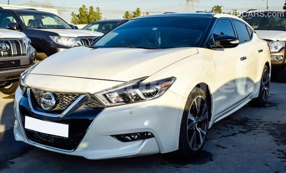 Buy Import Nissan Maxima White Car in Import - Dubai in Ahal Buy Import Nissan Maxima White Car in Import - Dubai in Ahal