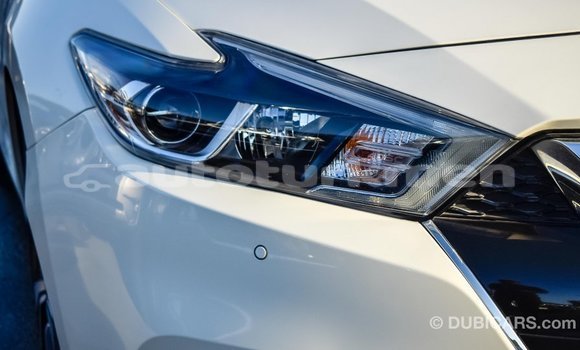 Buy Import Nissan Maxima White Car in Import - Dubai in Ahal Buy Import Nissan Maxima White Car in Import - Dubai in Ahal