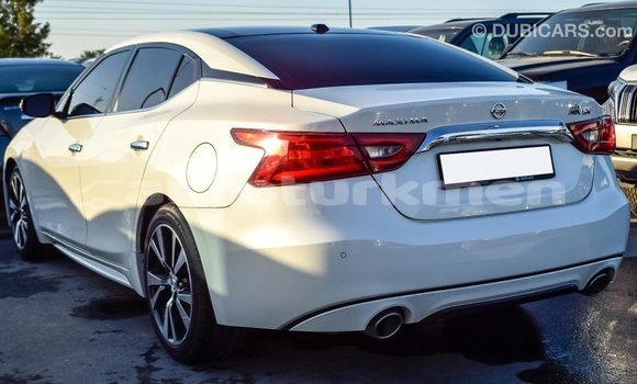 Buy Import Nissan Maxima White Car in Import - Dubai in Ahal Buy Import Nissan Maxima White Car in Import - Dubai in Ahal