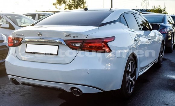Buy Import Nissan Maxima White Car in Import - Dubai in Ahal Buy Import Nissan Maxima White Car in Import - Dubai in Ahal