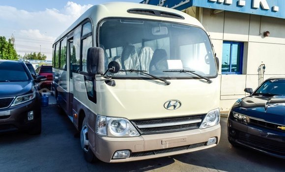 Buy Import Hyundai Chorus Beige Truck in Import - Dubai in Ahal