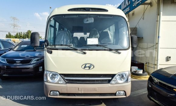 Buy Import Hyundai Chorus Beige Truck in Import - Dubai in Ahal Buy Import Hyundai Chorus Beige Truck in Import - Dubai in Ahal