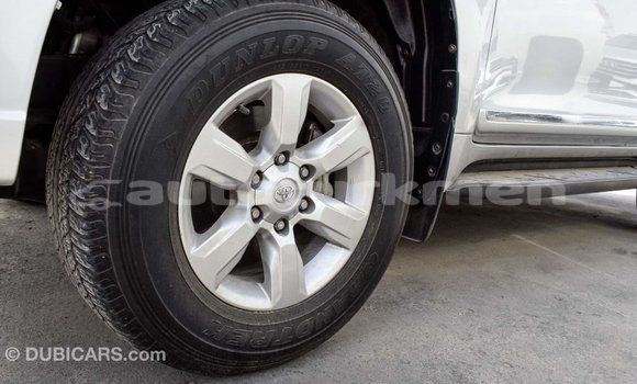 Buy Import Toyota Prado Other Car in Import - Dubai in Ahal Buy Import Toyota Prado Other Car in Import - Dubai in Ahal