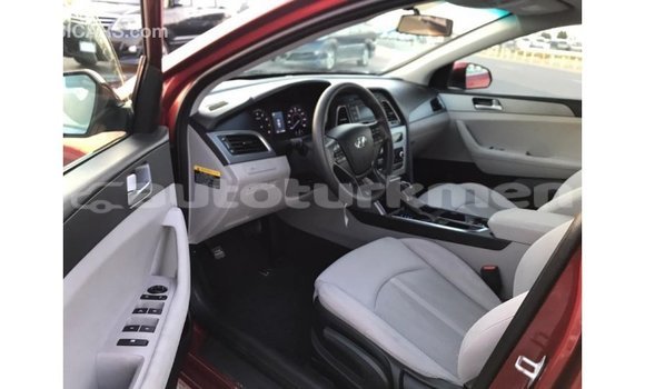 Buy Import Hyundai Sonata Red Car in Import - Dubai in Ahal Buy Import Hyundai Sonata Red Car in Import - Dubai in Ahal