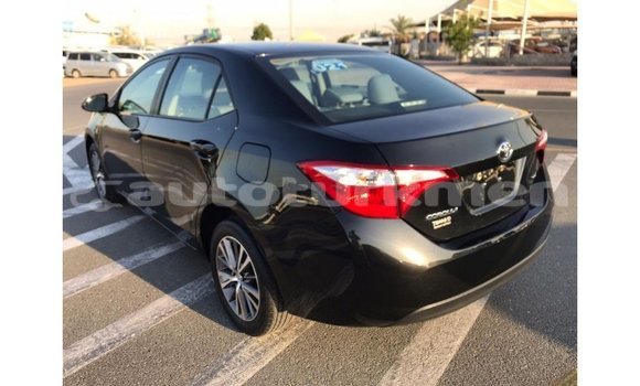 Buy Import Toyota Corolla Black Car in Import - Dubai in Ahal Buy Import Toyota Corolla Black Car in Import - Dubai in Ahal