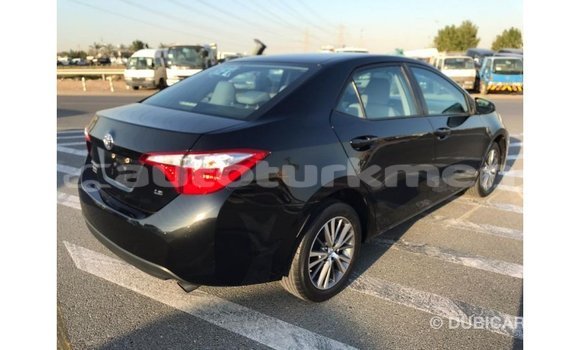 Buy Import Toyota Corolla Black Car in Import - Dubai in Ahal Buy Import Toyota Corolla Black Car in Import - Dubai in Ahal