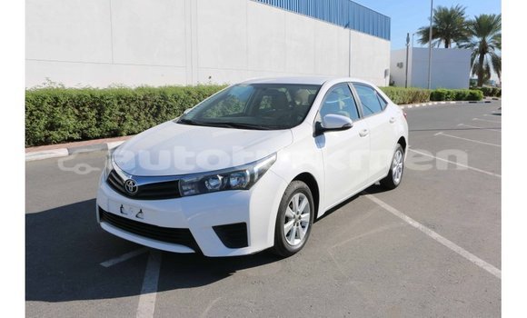 Buy Import Toyota Corolla White Car in Import - Dubai in Ahal Buy Import Toyota Corolla White Car in Import - Dubai in Ahal