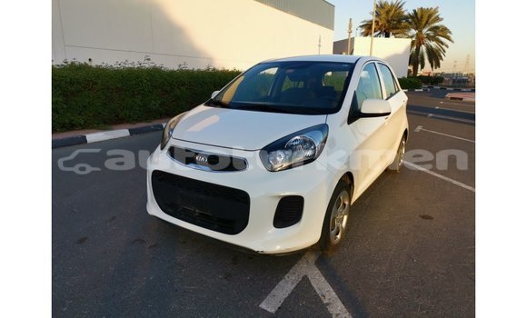 Buy Import Kia Picanto White Car in Import - Dubai in Ahal Buy Import Kia Picanto White Car in Import - Dubai in Ahal
