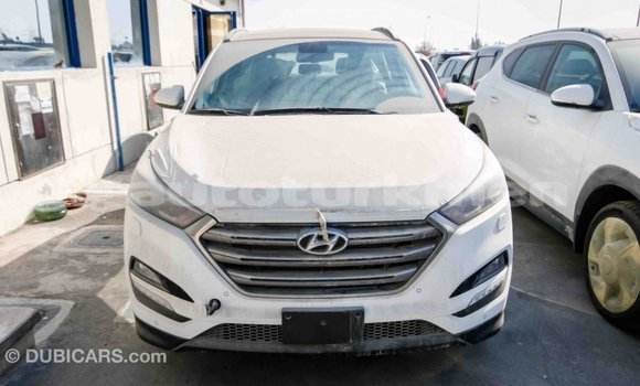 Buy Import Hyundai Tucson White Car in Import - Dubai in Ahal