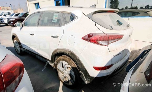 Buy Import Hyundai Tucson White Car in Import - Dubai in Ahal Buy Import Hyundai Tucson White Car in Import - Dubai in Ahal