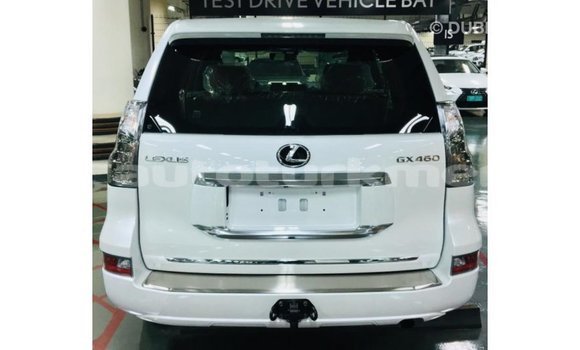 Buy Import Lexus GX White Car in Import - Dubai in Ahal Buy Import Lexus GX White Car in Import - Dubai in Ahal