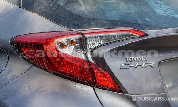 Buy Import Toyota C-HR Other Car in Import - Dubai in Ahal Buy Import Toyota C-HR Other Car in Import - Dubai in Ahal