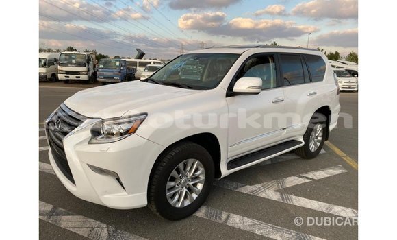 Buy Import Lexus GX White Car in Import - Dubai in Ahal Buy Import Lexus GX White Car in Import - Dubai in Ahal