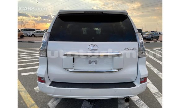 Buy Import Lexus GX White Car in Import - Dubai in Ahal Buy Import Lexus GX White Car in Import - Dubai in Ahal