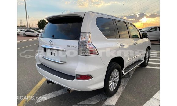 Buy Import Lexus GX White Car in Import - Dubai in Ahal Buy Import Lexus GX White Car in Import - Dubai in Ahal
