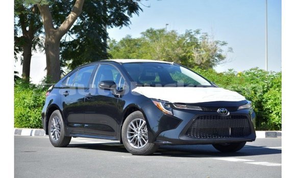 Buy Import Toyota Corolla Black Car in Import - Dubai in Ahal Buy Import Toyota Corolla Black Car in Import - Dubai in Ahal