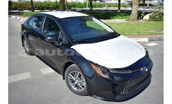 Buy Import Toyota Corolla Black Car in Import - Dubai in Ahal Buy Import Toyota Corolla Black Car in Import - Dubai in Ahal