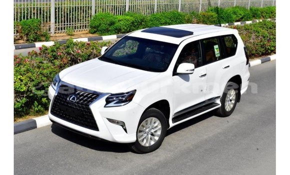 Buy Import Lexus GX White Car in Import - Dubai in Ahal Buy Import Lexus GX White Car in Import - Dubai in Ahal