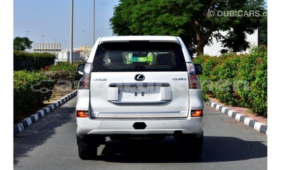 Buy Import Lexus GX White Car in Import - Dubai in Ahal Buy Import Lexus GX White Car in Import - Dubai in Ahal
