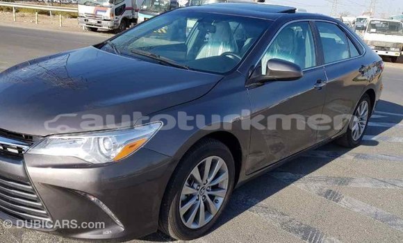 Buy Import Toyota Camry Other Car in Import - Dubai in Ahal Buy Import Toyota Camry Other Car in Import - Dubai in Ahal