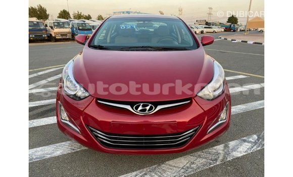 Buy Import Hyundai Elantra Red Car in Import - Dubai in Ahal Buy Import Hyundai Elantra Red Car in Import - Dubai in Ahal