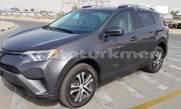 Buy Import Toyota RAV4 Other Car in Import - Dubai in Ahal Buy Import Toyota RAV4 Other Car in Import - Dubai in Ahal