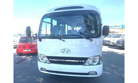 Buy Import Hyundai Chorus White Truck in Import - Dubai in Ahal