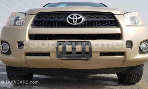 Buy Import Toyota RAV4 Other Car in Import - Dubai in Ahal Buy Import Toyota RAV4 Other Car in Import - Dubai in Ahal