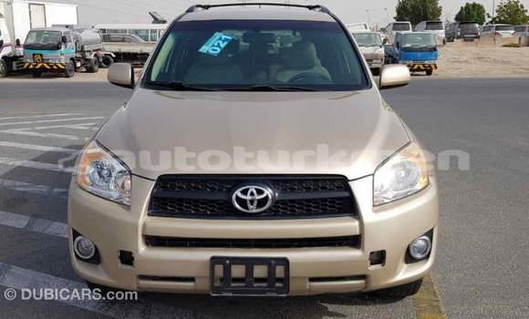 Buy Import Toyota RAV4 Other Car in Import - Dubai in Ahal Buy Import Toyota RAV4 Other Car in Import - Dubai in Ahal