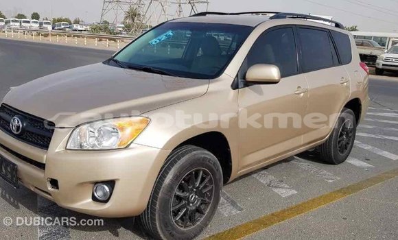 Buy Import Toyota RAV4 Other Car in Import - Dubai in Ahal Buy Import Toyota RAV4 Other Car in Import - Dubai in Ahal