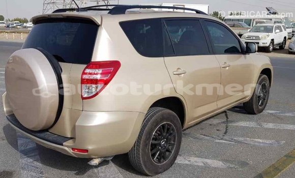 Buy Import Toyota RAV4 Other Car in Import - Dubai in Ahal Buy Import Toyota RAV4 Other Car in Import - Dubai in Ahal