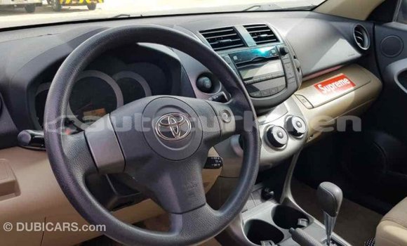 Buy Import Toyota RAV4 Other Car in Import - Dubai in Ahal Buy Import Toyota RAV4 Other Car in Import - Dubai in Ahal