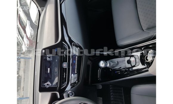 Buy Import Toyota C-HR Other Car in Import - Dubai in Ahal Buy Import Toyota C-HR Other Car in Import - Dubai in Ahal