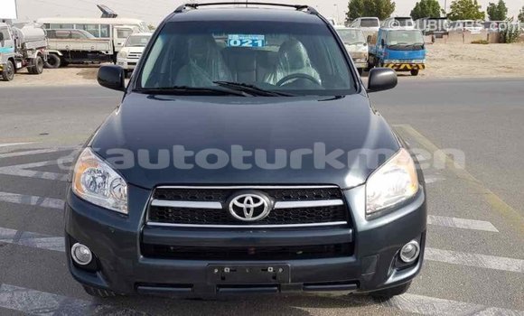 Buy Import Toyota RAV4 Green Car in Import - Dubai in Ahal Buy Import Toyota RAV4 Green Car in Import - Dubai in Ahal