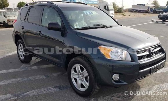 Buy Import Toyota RAV4 Green Car in Import - Dubai in Ahal Buy Import Toyota RAV4 Green Car in Import - Dubai in Ahal