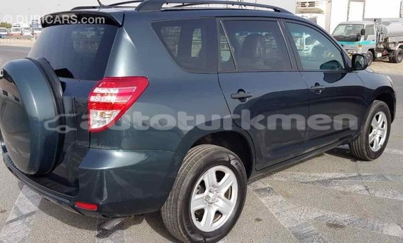 Buy Import Toyota RAV4 Green Car in Import - Dubai in Ahal Buy Import Toyota RAV4 Green Car in Import - Dubai in Ahal