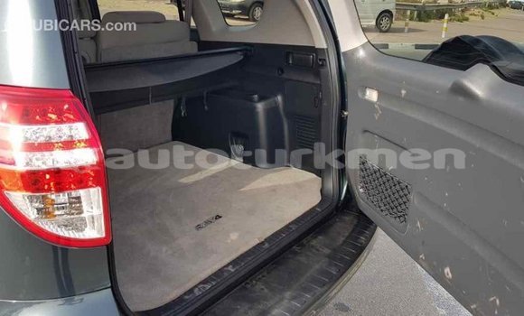 Buy Import Toyota RAV4 Green Car in Import - Dubai in Ahal Buy Import Toyota RAV4 Green Car in Import - Dubai in Ahal