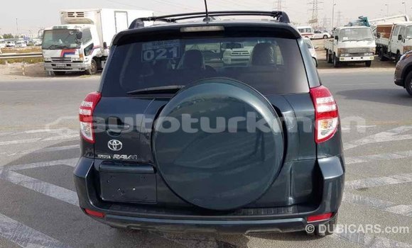 Buy Import Toyota RAV4 Green Car in Import - Dubai in Ahal Buy Import Toyota RAV4 Green Car in Import - Dubai in Ahal