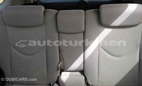 Buy Import Toyota RAV4 Other Car in Import - Dubai in Ahal Buy Import Toyota RAV4 Other Car in Import - Dubai in Ahal
