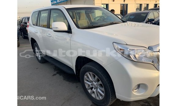 Buy Import Toyota Prado White Car in Import - Dubai in Ahal Buy Import Toyota Prado White Car in Import - Dubai in Ahal