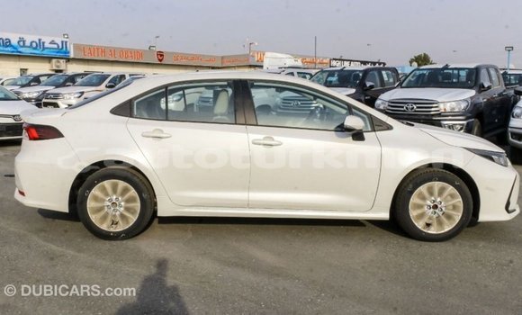 Buy Import Toyota Corolla White Car in Import - Dubai in Ahal Buy Import Toyota Corolla White Car in Import - Dubai in Ahal