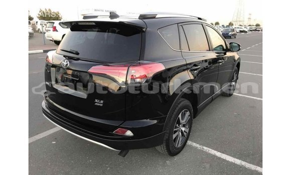 Buy Import Toyota RAV4 Black Car in Import - Dubai in Ahal Buy Import Toyota RAV4 Black Car in Import - Dubai in Ahal