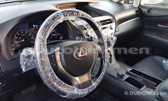 Buy Import Lexus RX 350 White Car in Import - Dubai in Ahal