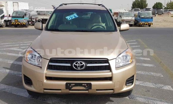 Buy Import Toyota RAV4 Other Car in Import - Dubai in Ahal Buy Import Toyota RAV4 Other Car in Import - Dubai in Ahal