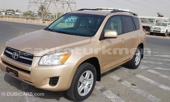 Buy Import Toyota RAV4 Other Car in Import - Dubai in Ahal Buy Import Toyota RAV4 Other Car in Import - Dubai in Ahal