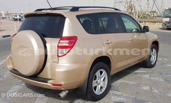 Buy Import Toyota RAV4 Other Car in Import - Dubai in Ahal Buy Import Toyota RAV4 Other Car in Import - Dubai in Ahal