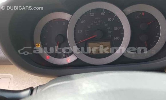 Buy Import Toyota RAV4 Other Car in Import - Dubai in Ahal Buy Import Toyota RAV4 Other Car in Import - Dubai in Ahal