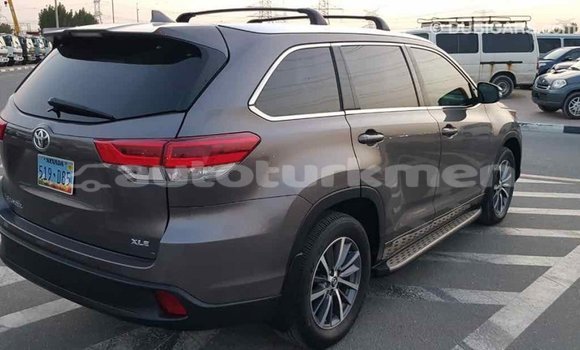 Buy Import Toyota Highlander Other Car in Import - Dubai in Ahal Buy Import Toyota Highlander Other Car in Import - Dubai in Ahal