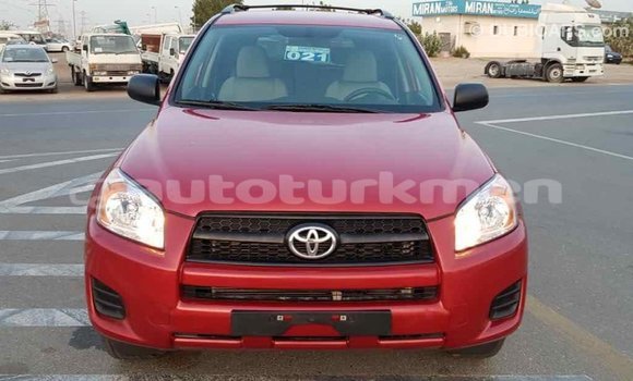 Buy Import Toyota RAV4 Red Car in Import - Dubai in Ahal Buy Import Toyota RAV4 Red Car in Import - Dubai in Ahal